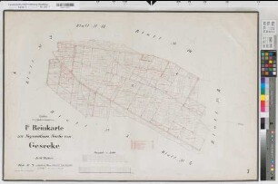 Geseke (Geseke), Separation von Geseke, Bl.7 Reinkarte