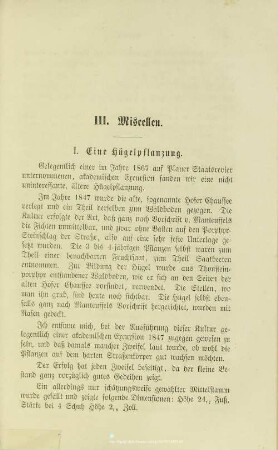 III.1. Eine Hügelpflanzung