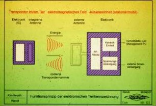 Schematischer Aufbau und Systemparameter der elektronischen Tierkennzeichnung