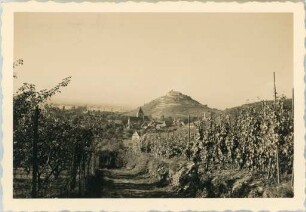 Burgberg und Burgruine in Staufen i. Br.