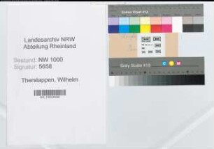 Entnazifizierung Wilhelm Therstappen, geb. 08.10.1909 (Bautechniker)