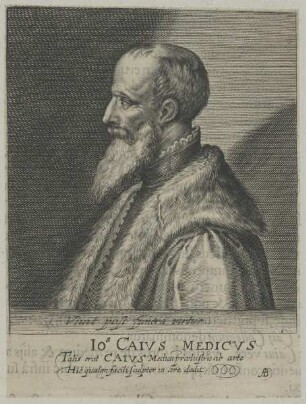 Bildnis des Io.s Caivs