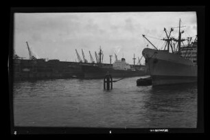 Albert Janus (1958), Frigga, Hamburg