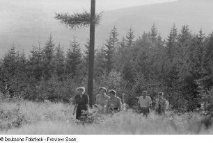 Personengruppe auf einer Waldlichtung