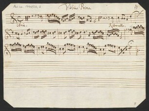 Violino primo & secundo