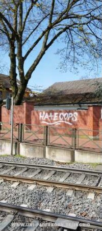 HAtE COPS