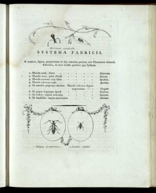Systema Fabricii.