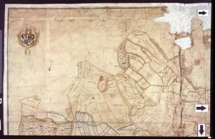 Geometrische "Mappa" über den Selgetsweiler und Vogelsanger Bann