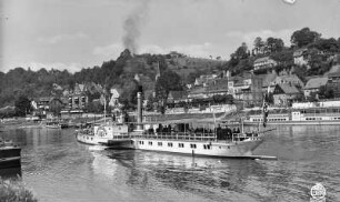 Elbdampfer im sächsischen Elbtal. Personen-Seitenraddampfer "Leitmeritz" (1893; Werft Dresden-Blasewitz) der Sächsisch-Böhmischen Dampfschiffahrts-AG im Elbtal in Stadt Wehlen