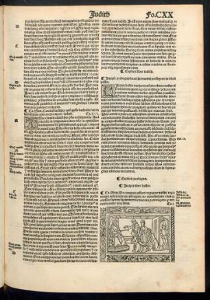 Incipit liber hester.
