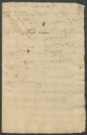 Fagotto concertante