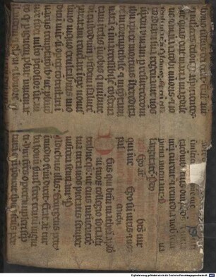 Antichristus romanus