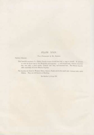 Plate XXIV.