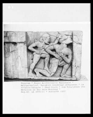 Metopenrelief: Herakles erschlägt Alkyoneus