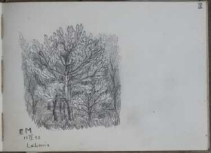 Lubmin (Kr. Greifswald): junges Wäldchen (Skizzenbuch Ernst Morgenstern, Bl. IX)
