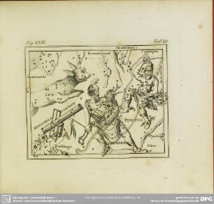 Fig. XXII