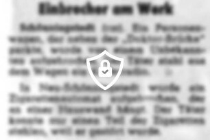 Einbrecher am Werk