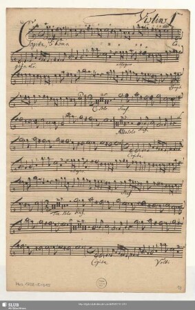 Violino 1mo