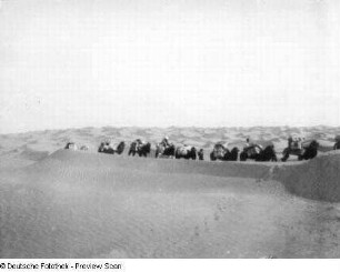 China. Sinkiang (Xinjiang). Takla Makan. Kamelkarawane der Expedition in den Dünen bei Dandan-oilik zwischen Chotan-darja und Kerija-darja