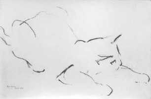 Katze : Katze. Kohlezeichnung (1950; E. Richter). Dresden-Striesen, Borsbergstraße 11, Atelier der Künstlerin