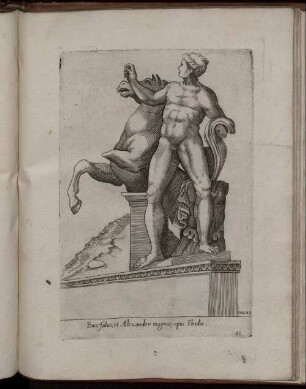 XXXXI. Bucefalus, et Alexander magnus opus Phidie.