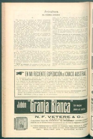 Avicultura : El cólera aviario