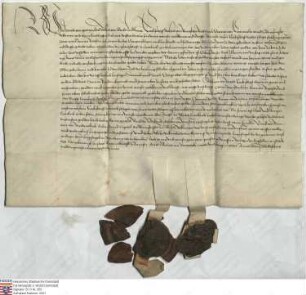 Bertold, Erzbischof des heiligen Stuhls zu Mainz (Meintz), des heiligen Römischen (Romischen) Reichs durch Germanien Erzkanzler und Kurfürst, und ...