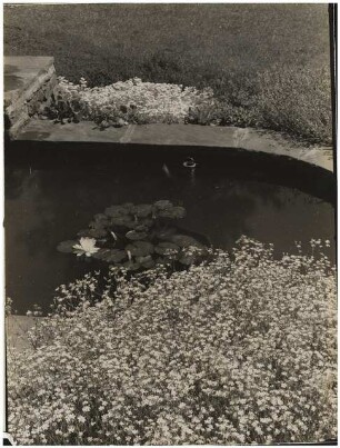 Garten Reinicke, Berlin-Zehlendorf: Wasserbecken