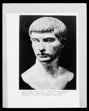 Büste des sogenannten Brutus minor (Sohn des Agrippa)