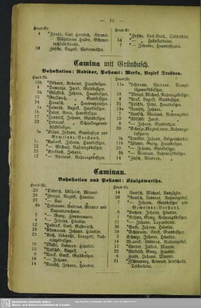 Camina mit Grünbusch