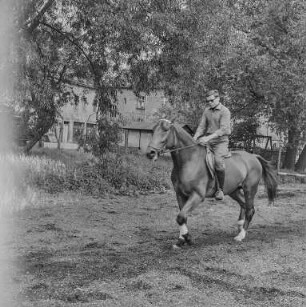 Reiter Strehla : Strehla. Reiter und Pferd