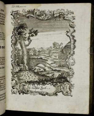 Tab. XXII. pag. 212.