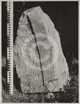 Steinfragment in der Kirchenruine Neukirch