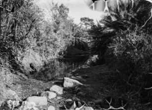 Am Fluss : Flusslandschaft