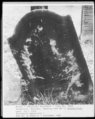 Grabstein von Röschen, Ehefrau des Me'ir Schnattich (gestorben 1824.01.20)