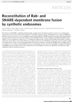 Reconstitution of Rab- and SNARE-dependent membrane fusion by synthetic endosomes