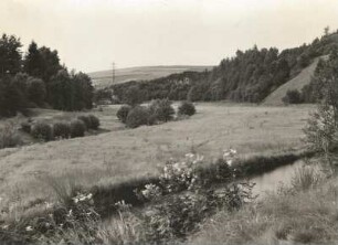 Landschaft im Weißeritztal bei Rabenau