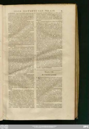 Cap. IX. De Vincentio Lyrinensi.