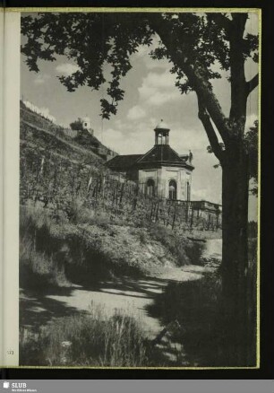 173 Wackerbarths Ruhe mit Belvedere und Jacobstein