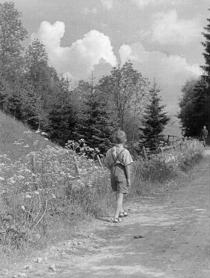 Kinderbilder. Kleiner Junge, durch eine Wiese spazierend