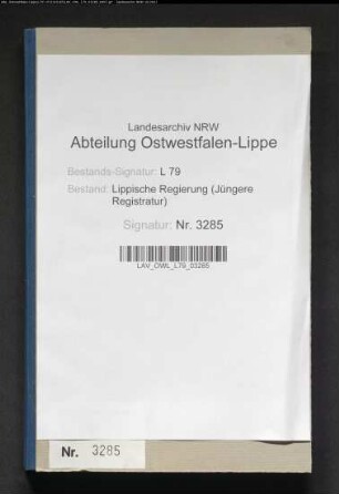 Instandhaltung öffentlicher Gebäude im Baukreis Detmold, Band 1