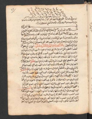 Kifāyat al-mutaḥaffiẓ wa-nihāyat al-mutalaffiẓ fi 'l-luġa al-ʿarabīya