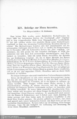 Beiträge zur Flora Saxonica