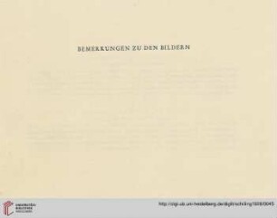 Bemerkungen zu den Bildern
