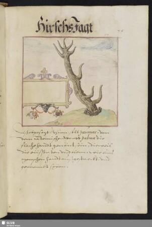 [Abb.] 17-20