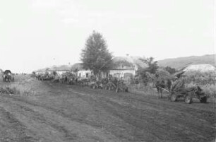 Zweiter Weltkrieg. Frontbilder. Rußland, Oblast Belgorod. Konvoi von Pferdefuhrwerken mit deutschen wehrmachtsangehörigen beim einrücken in eine Dorf (vielleicht Lutschki)