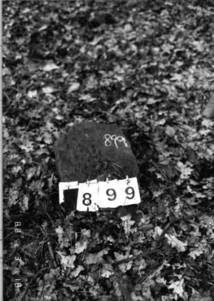 Grabstein 899 (Index: 99902386) Material: Sandstein Zustand: Stein umgestürzt, keine Inschrift erkennbar: Grabstein 899