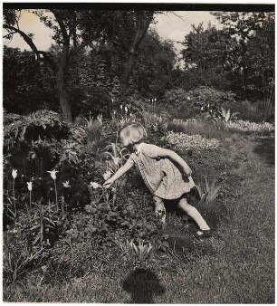 Haus und Garten Mattern, Potsdam-Bornim: Merete in der Pflanzfläche
