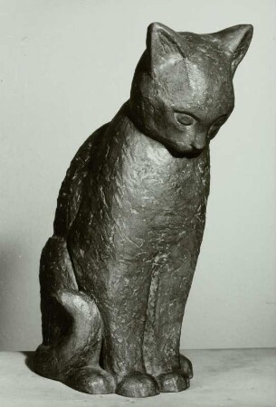 Katze
