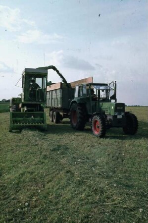 Fotografie: Ernteverfahren, Feldhäcksler selbstfahrend, Grassilage, Parallelverfahren